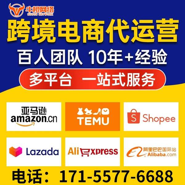绵阳电商代运营
