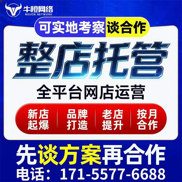 绵阳电商代运营