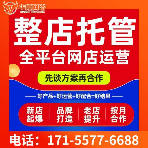 绵阳电商代运营