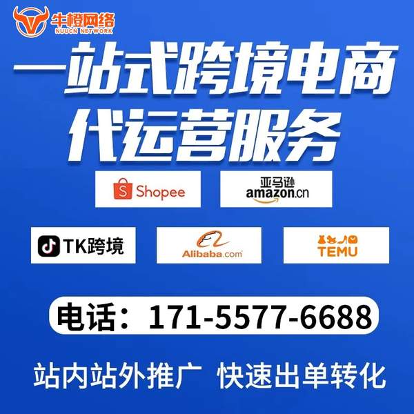 绵阳电商代运营