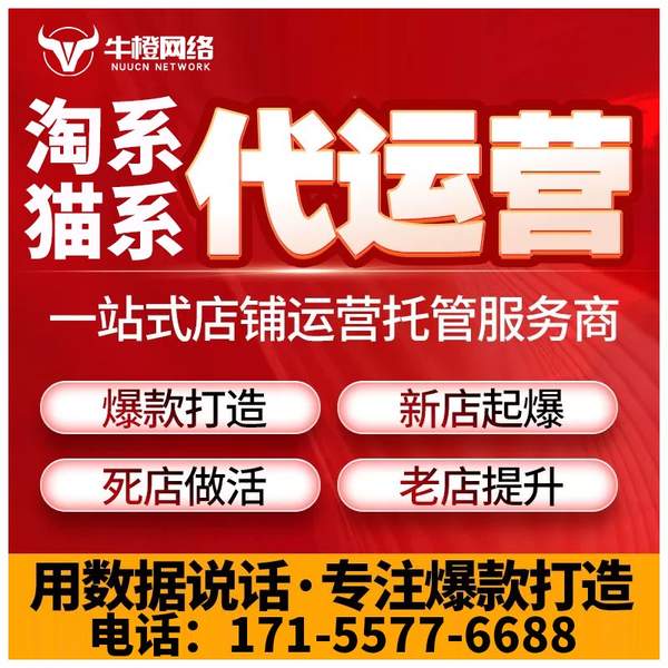 绵阳电商代运营